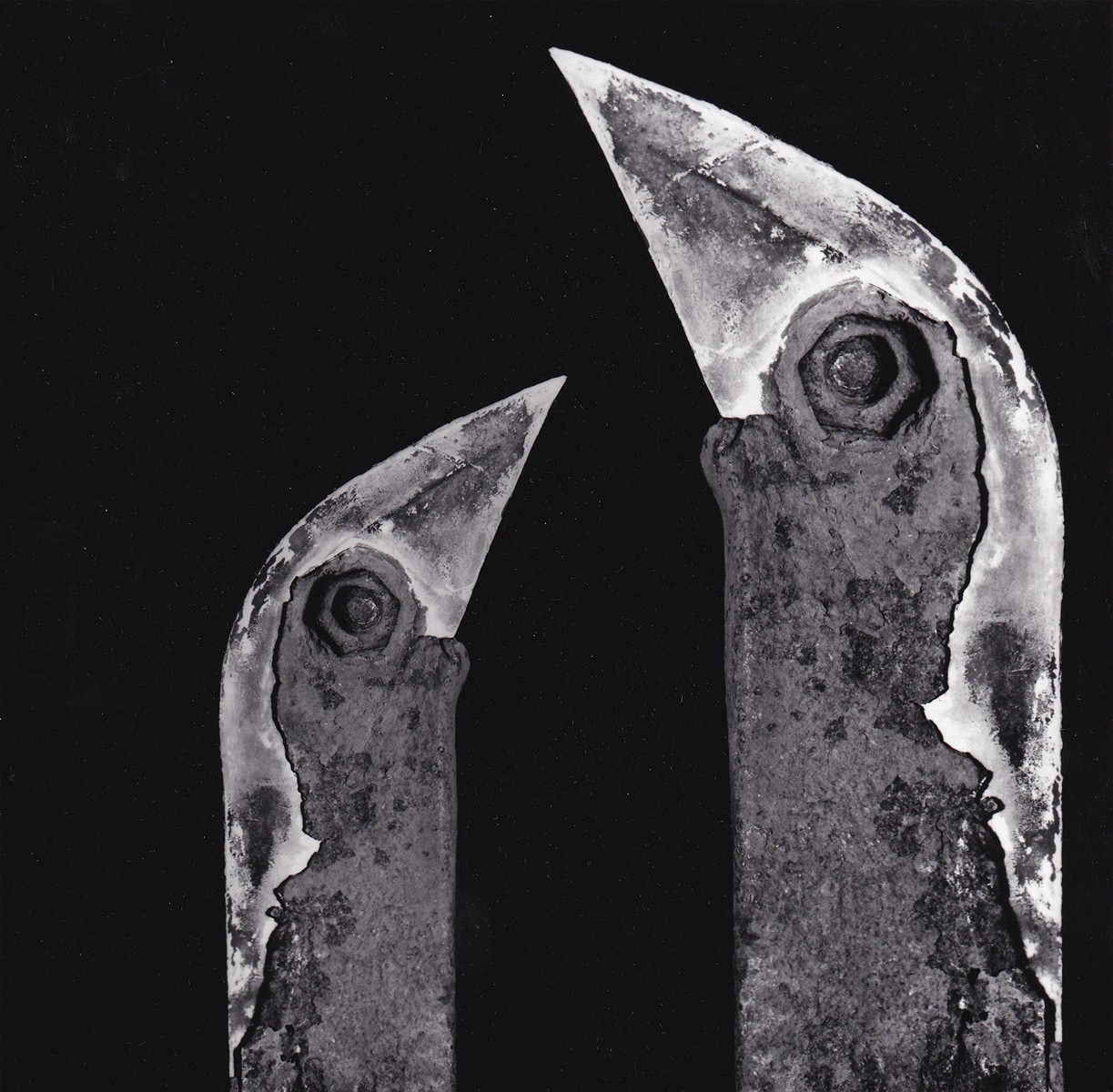 Ladislav Postupa  (1929 - 2016) - Ptáci