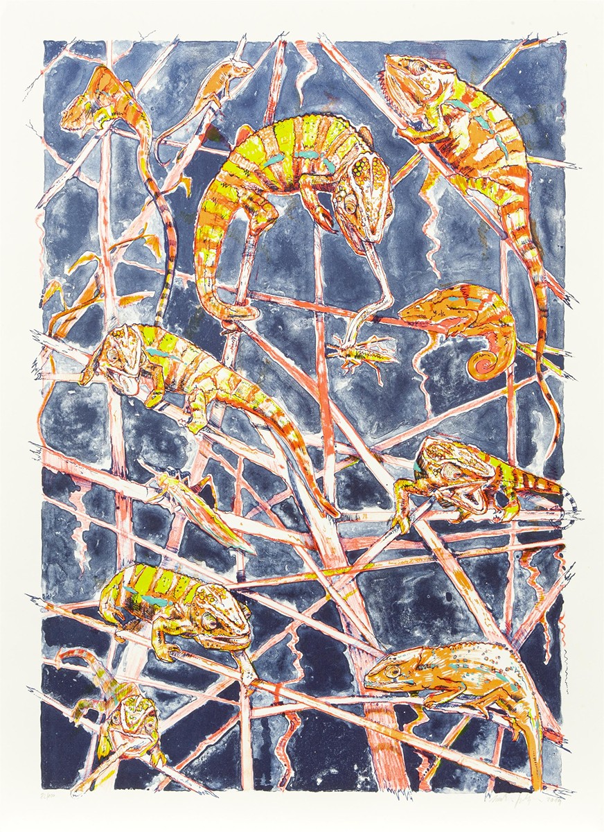 Salajka Martin (1981) - Chameleoni