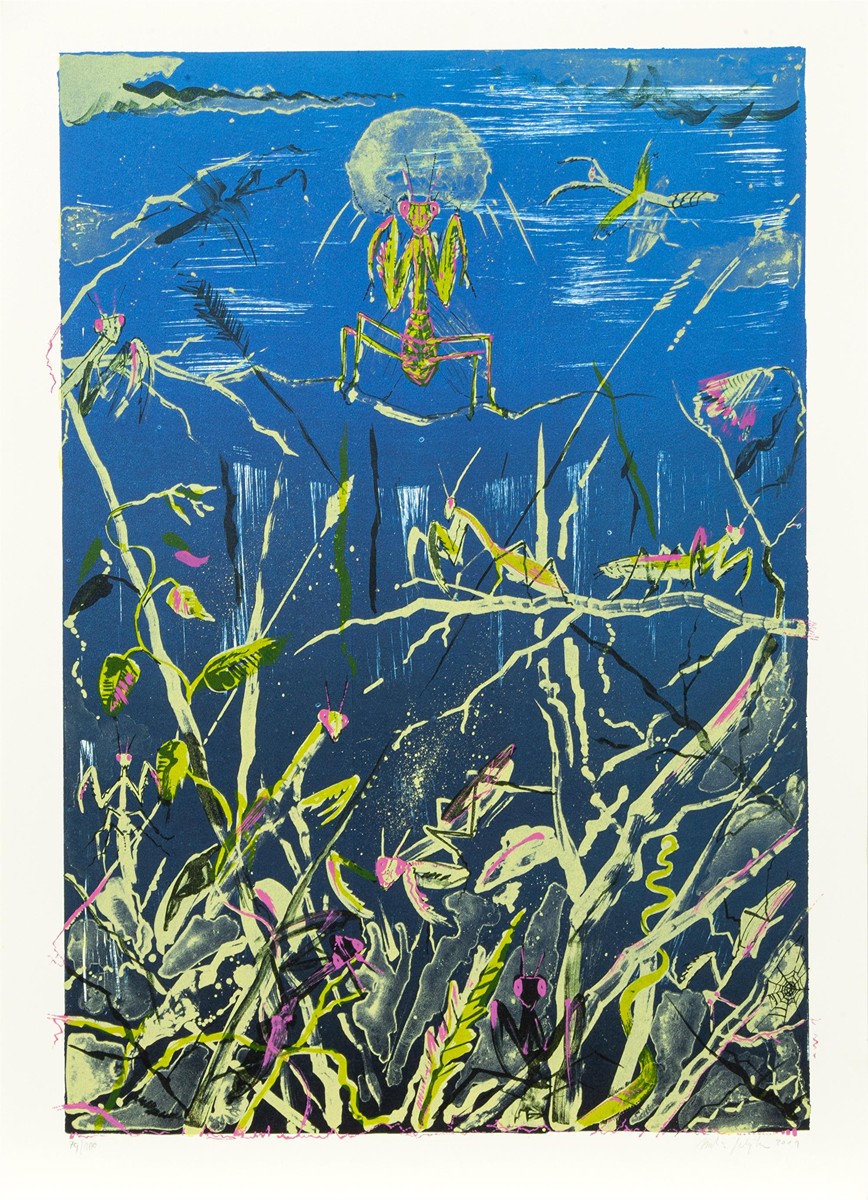 Salajka Martin (1981) - Kudlanky