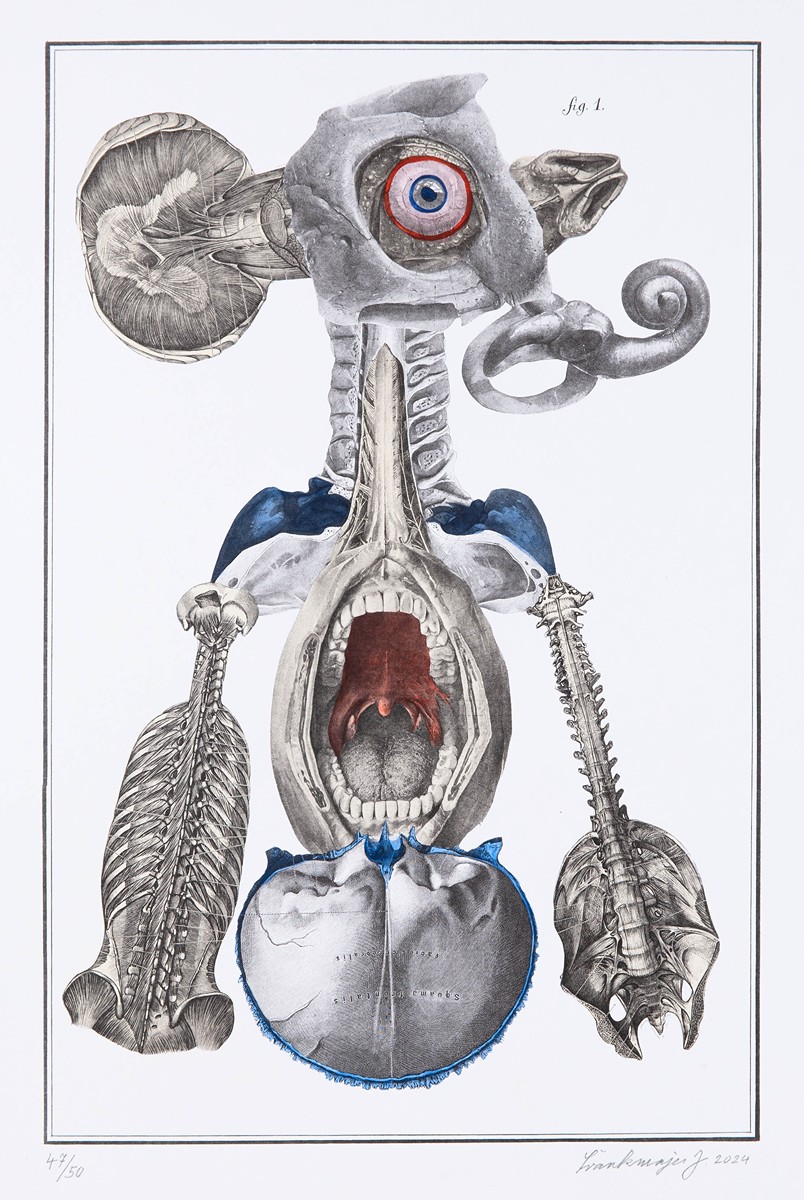 Jan Švankmajer (1934) - Bilderlexikon - Nesoustavná anatomie č. 1
