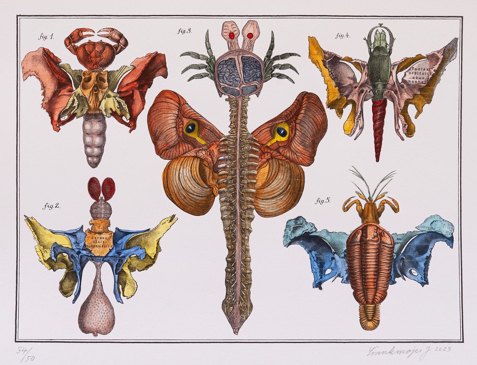 Jan Švankmajer - Bilderlexikon - Hexapoda 5