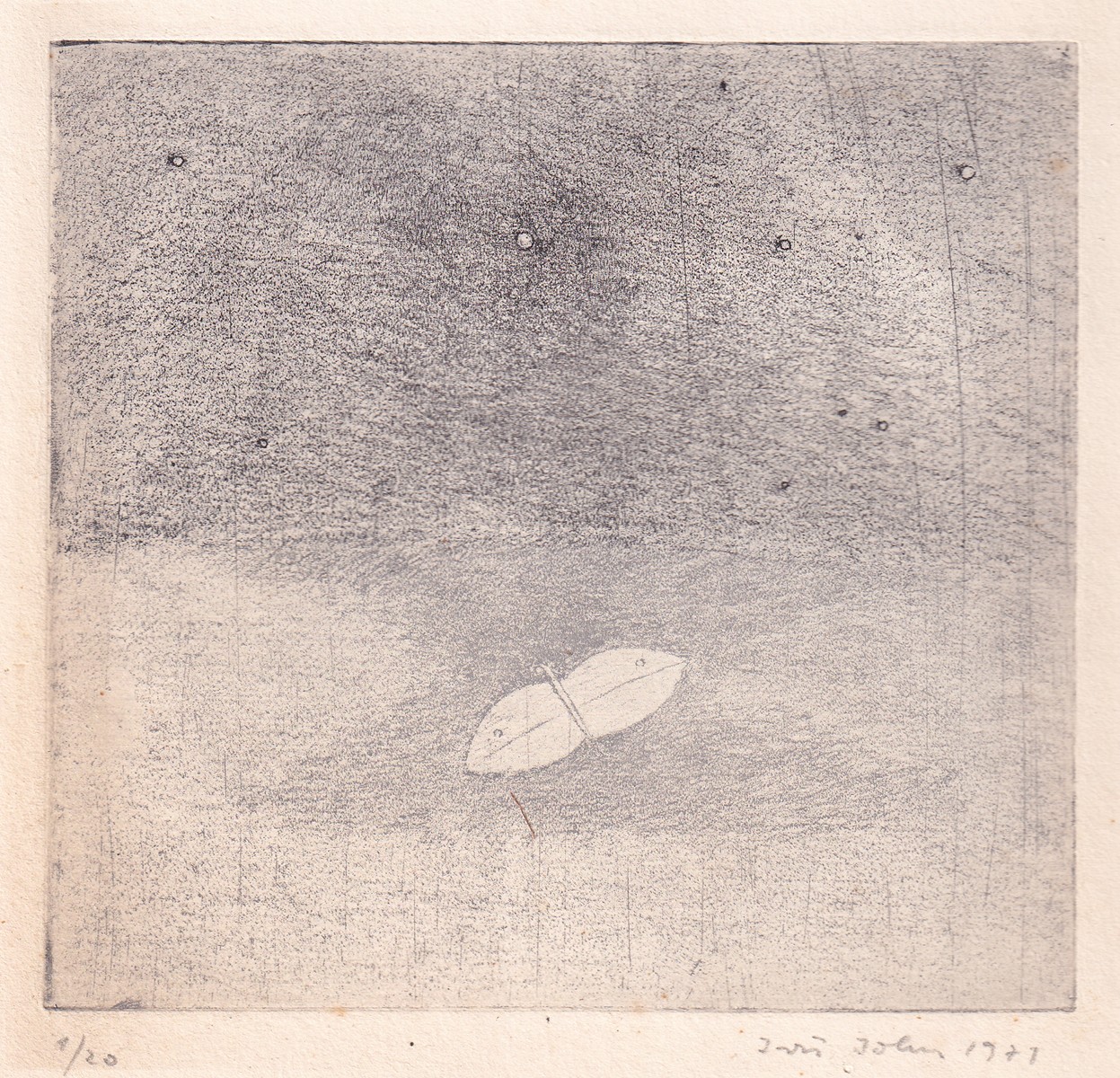 Jiří John - Letní večer