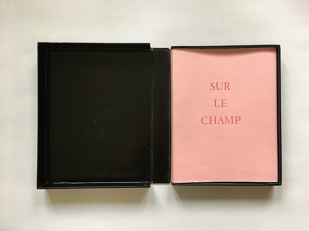 Marie Čermínová (Toyen) (1902 - 1980) - Annie Le Brun - Sur Le Champ