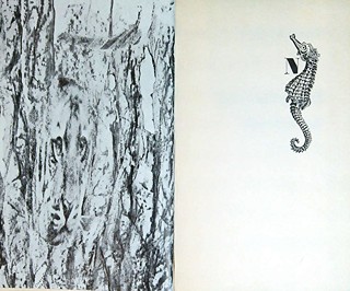Vítězslav Nezval (1900 - 1958) - Absolutní hrobař