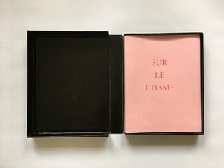 Marie Čermínová (Toyen) (1902 - 1980) - Annie Le Brun - Sur Le Champ