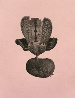 Marie Čermínová (Toyen) (1902 - 1980) - Annie Le Brun - Sur Le Champ