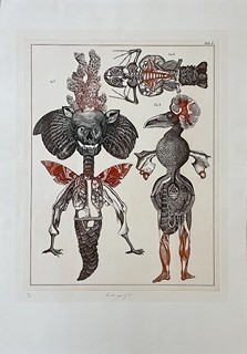 Jan Švankmajer (1934) - Přírodopis č. 5