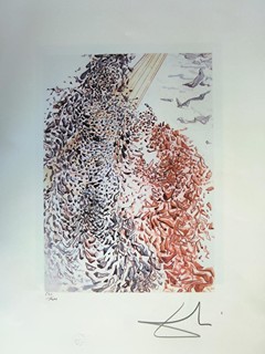 Salvador Dalí 1904 - 1989 - Lito