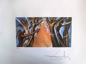 Salvador Dalí 1904 - 1989 - Mad Tristan