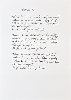 Michael  Rittstein  (1949) - Punkové království