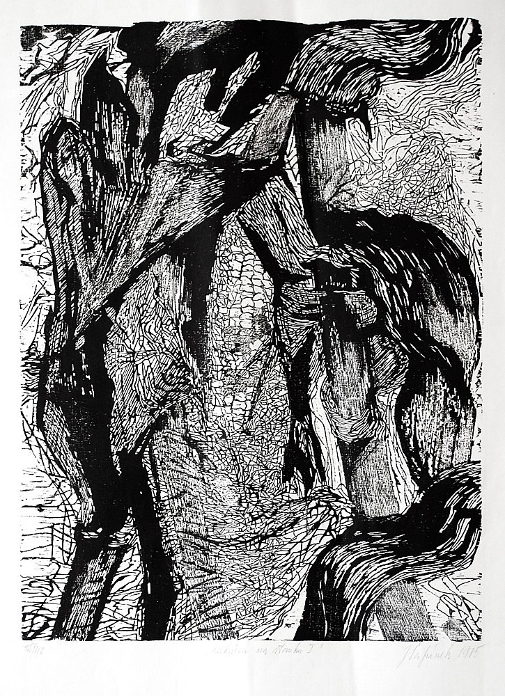 Jan Šafránek (1948) - Kukuřice na stonku