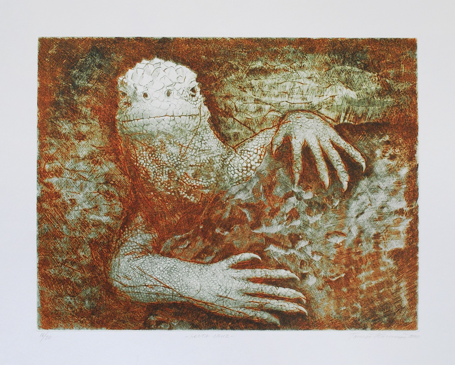 Tomáš  Hřivnáč (1959) - Santa Cruz