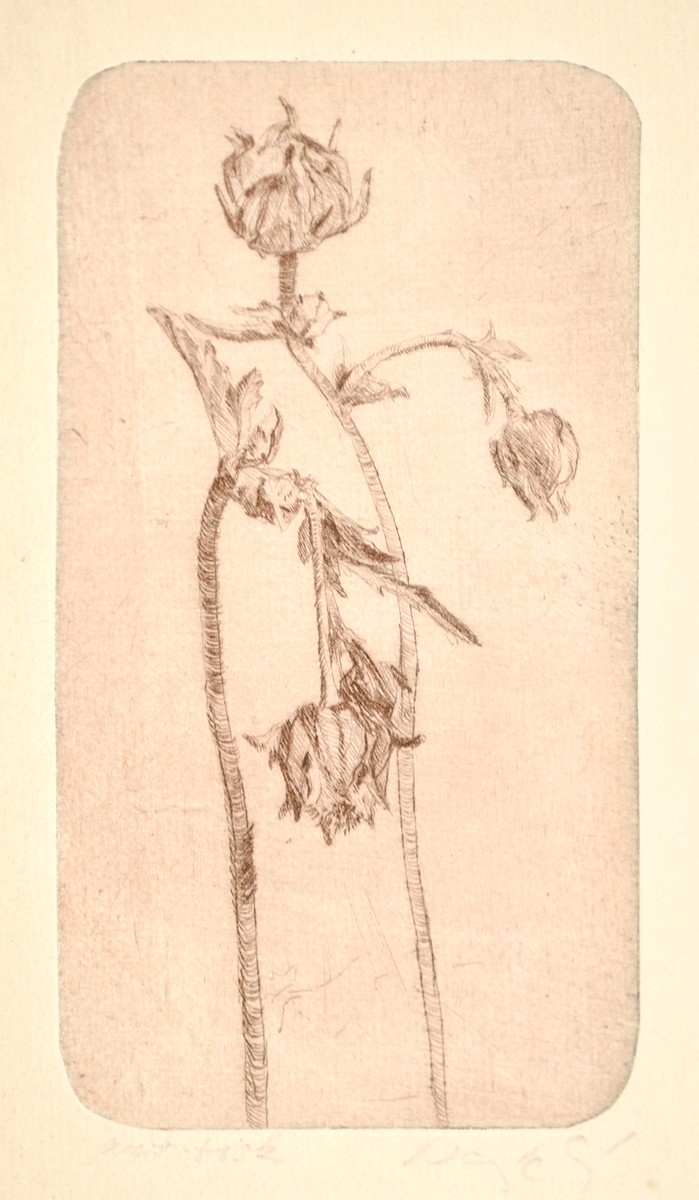 Zuzana Nováčková (1945 - 2020) - Zvadlá kytka