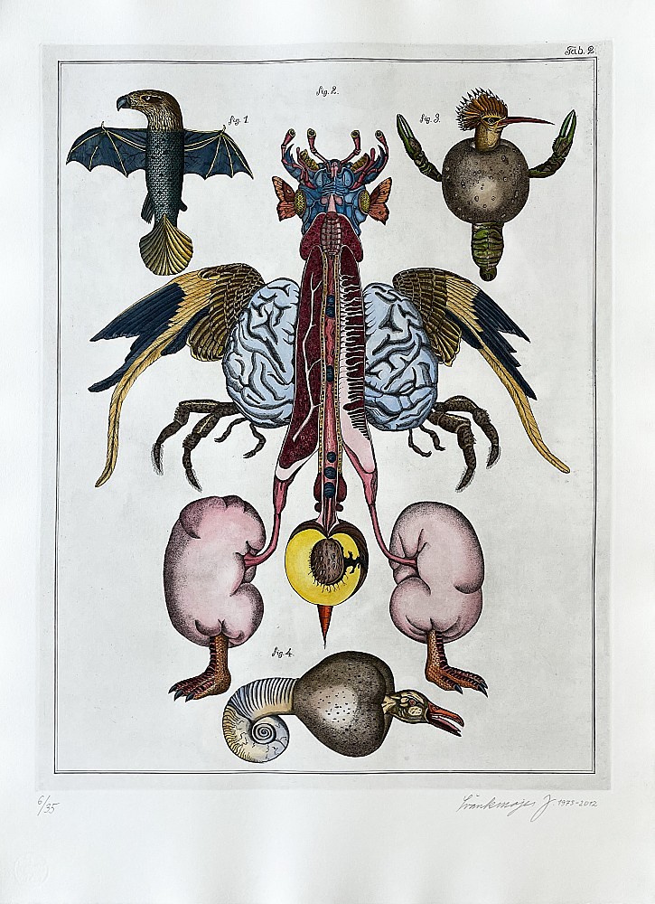 Jan Švankmajer (1934) - Přírodopis č. 2