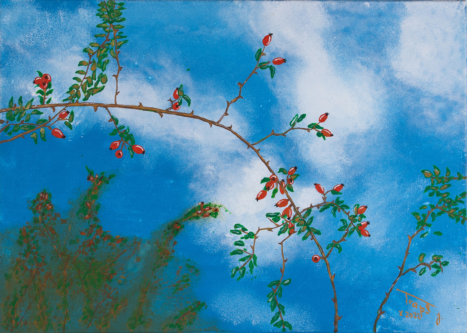 Rose Hip