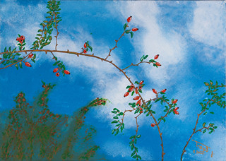 Rose Hip