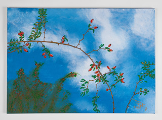 Rose Hip