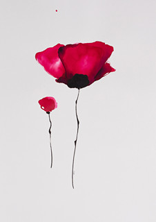 Poppy Field