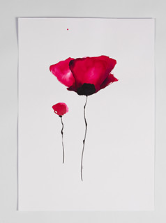 Poppy Field