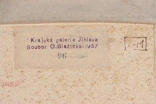 Oldřich Blažíček (1887 - 1953) - Ze Dvořišť