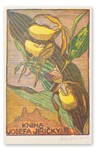 Macková Anna (1887-1969) - Konvolut 14 grafických listů