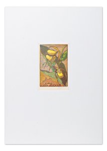 Macková Anna (1887-1969) - Konvolut 14 grafických listů