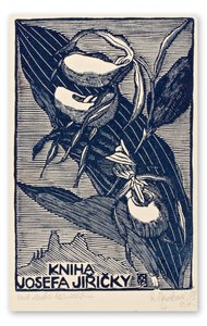 Macková Anna (1887-1969) - Konvolut 14 grafických listů