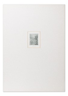 Storchová Hana (1936*) - Konvolut 9 grafických listů