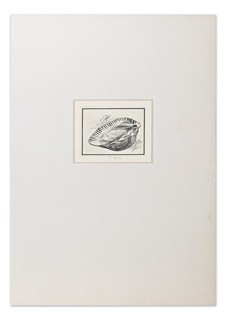 Housa Bedřich (1926-2020) - Mušle