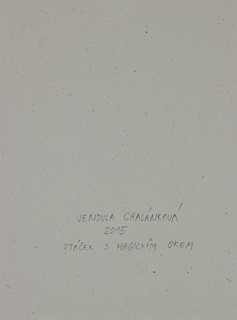 Chalánková Vendula (1981) - Ptáček s magickým okem