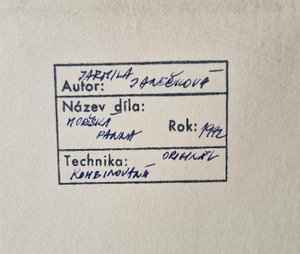 Janečková Jarmila - Konvolut 6 obrazů