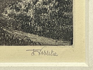 František Kobliha (1877-1962) - Ilustrace ke knize Rudolf Medek: Řeč osudu