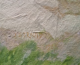 Strnad Josef - Zlatá mládež