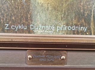 Zábranský Vlastimil - Dužnaté přírodniny