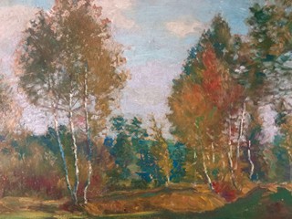 Kaván František - Břízy