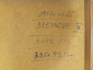 Albich Milan - Bretagne X