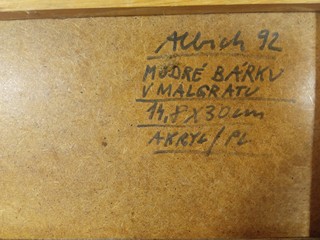 Albich Milan - Modré bárky v Malgratu