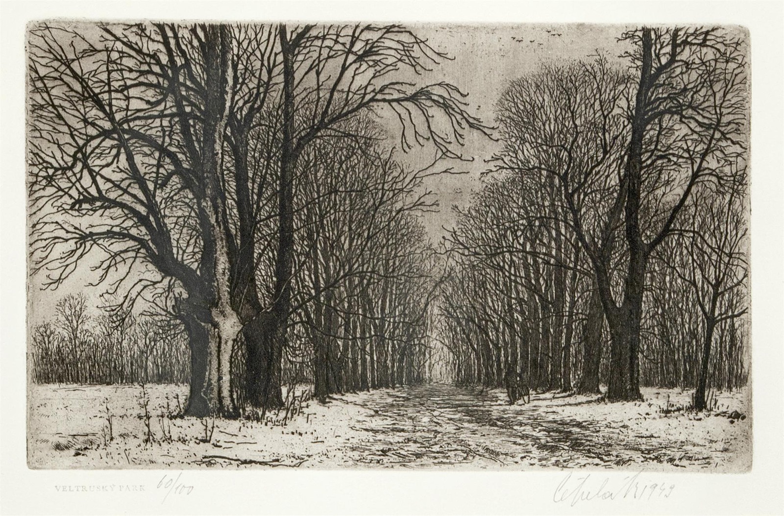 Čepelák Ladislav (1924 - 2000) - Veltruský park