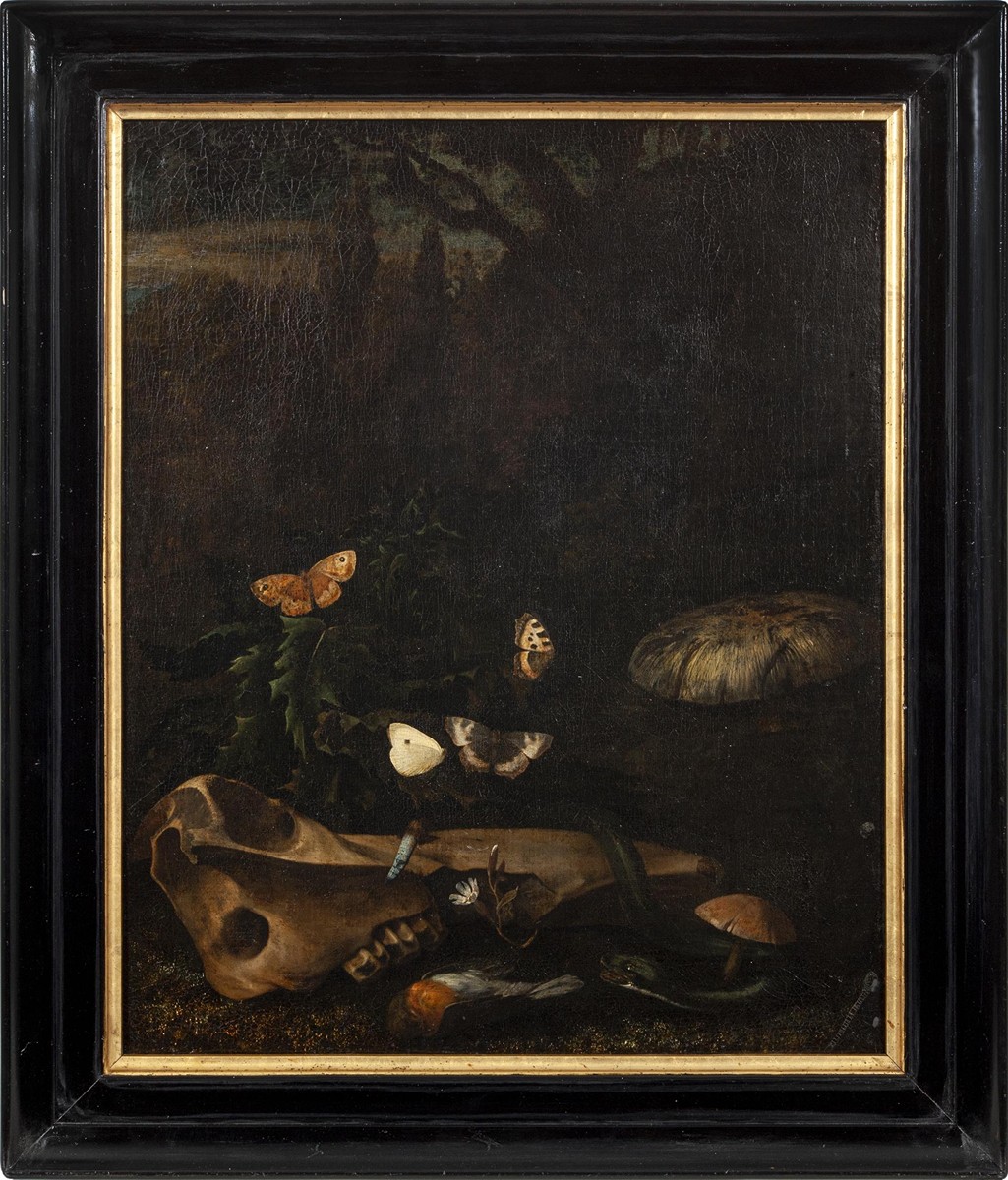 Schrieck Otto Marseus van (1619 - 1678) - Zátiší s lebkou, houbami a hadem