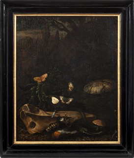 Schrieck Otto Marseus van (1619 - 1678) - Zátiší s lebkou, houbami a hadem