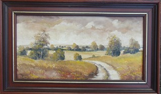 Jan Studený - Krajina