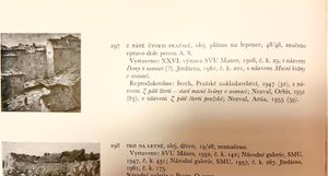 Antonín Slavíček (1870 - 1910) - Masné krámy v asanaci (publikované dílo)