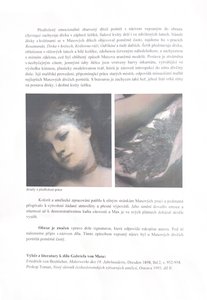 Gabriel von Max (1840 - 1915) - Šeřík 1890 ( La Syringa ) Velký formát!