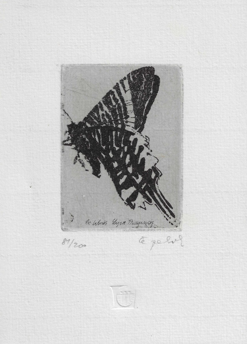 Ladislav Čepelák (1924 - 2000) - Ex libris Lyra Pragensis / Ladislav Čepelák
