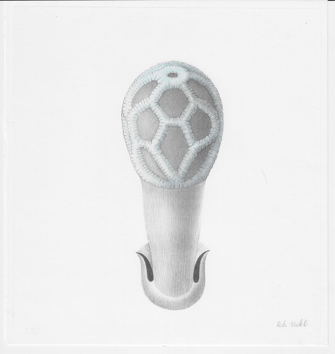 Petr Nikl (1960) - Atlas saltA / Petr Nikl