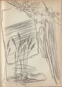 Toyen (1902 - 1980) - Máj / Karel Hynek Mácha ; čtyři kresby Toyen