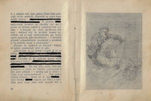 Do panského stavu / Pavel Duran