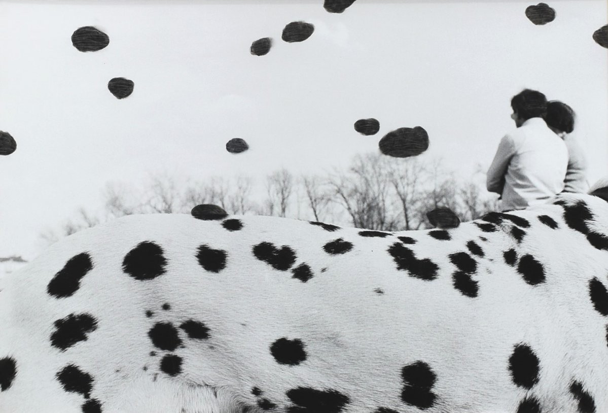 ŽUPNÍK Peter (*1961): Dogs Day.