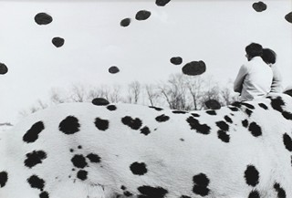 ŽUPNÍK Peter (*1961): Dogs Day.
