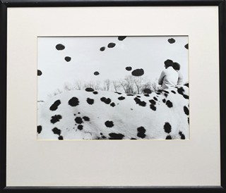 ŽUPNÍK Peter (*1961): Dogs Day.